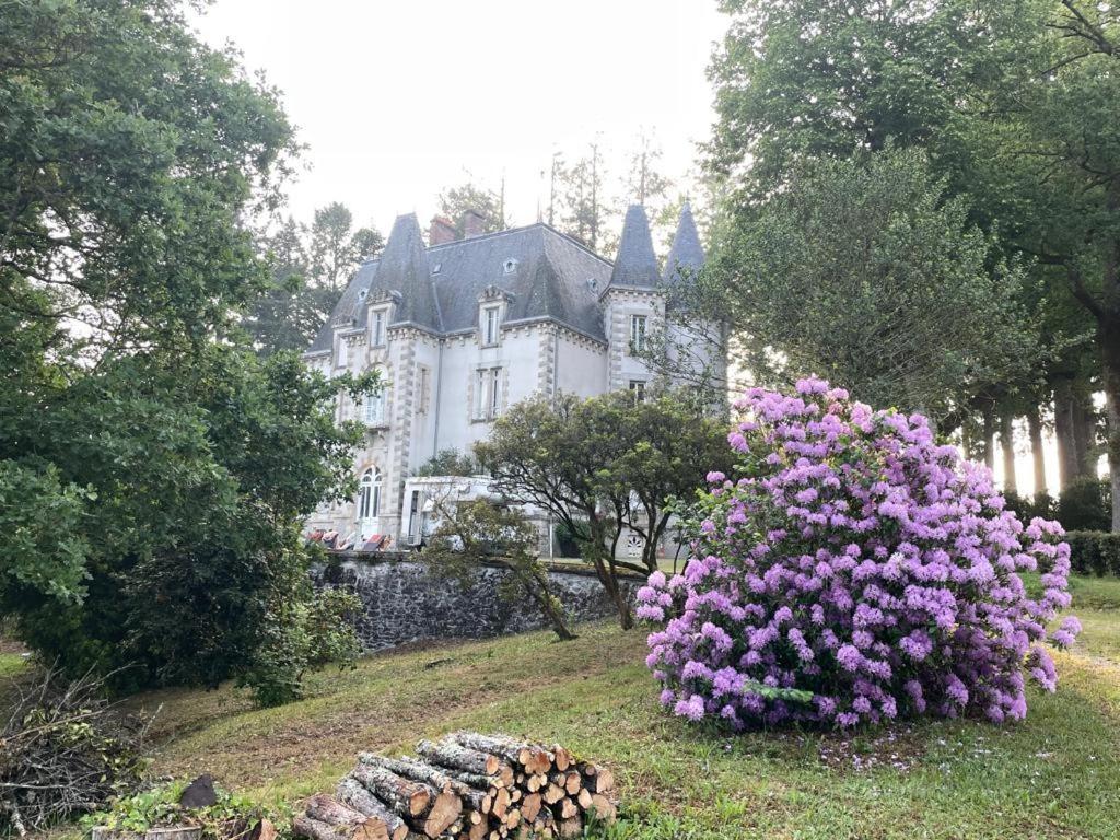 مبيت وإفطار Saint-Léonard-de-Noblat Chateau Maleplane المظهر الخارجي الصورة