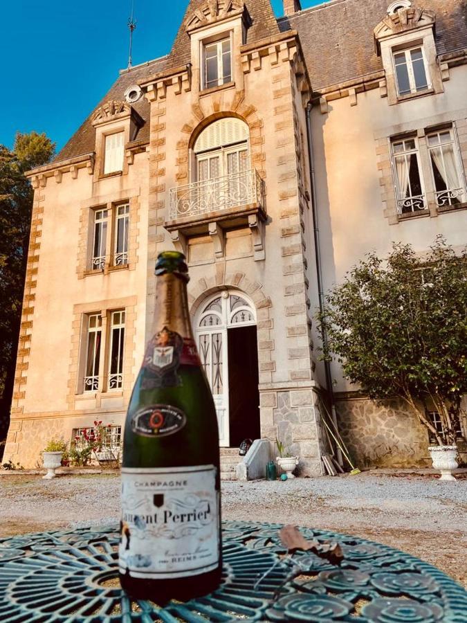 مبيت وإفطار Saint-Léonard-de-Noblat Chateau Maleplane المظهر الخارجي الصورة