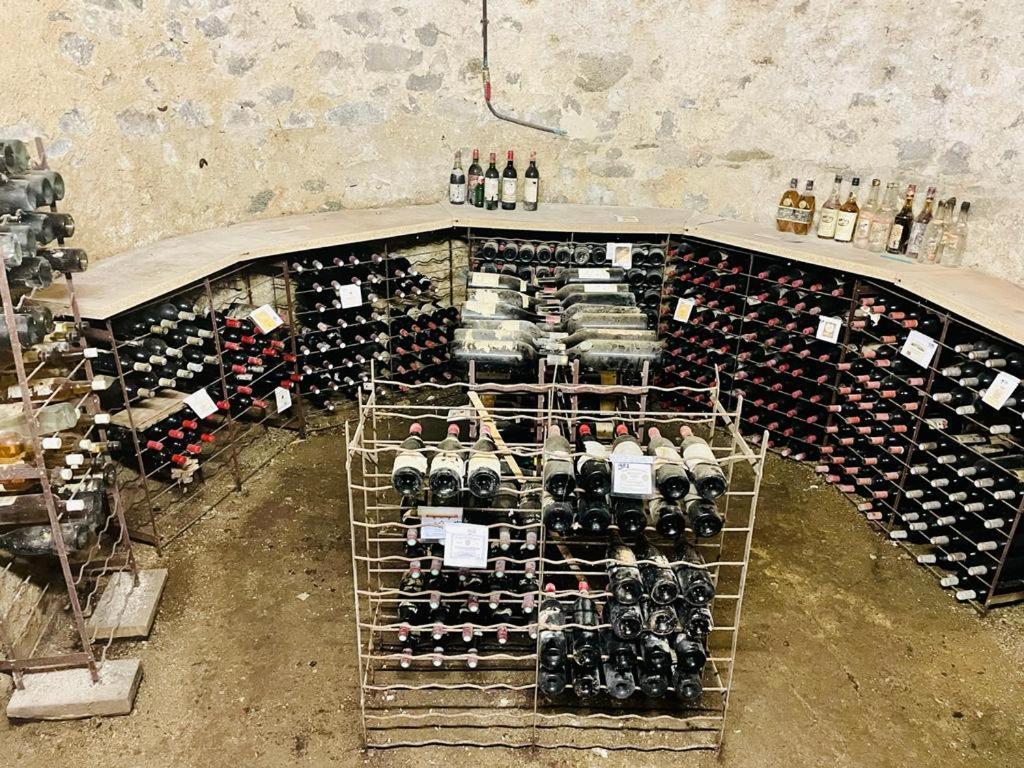مبيت وإفطار Saint-Léonard-de-Noblat Chateau Maleplane المظهر الخارجي الصورة