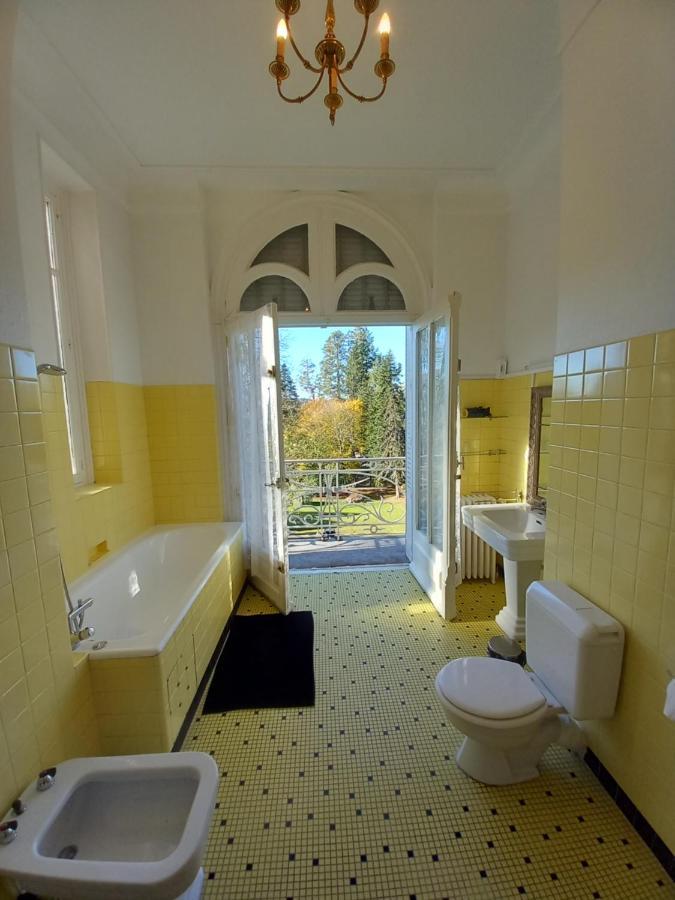 مبيت وإفطار Saint-Léonard-de-Noblat Chateau Maleplane المظهر الخارجي الصورة