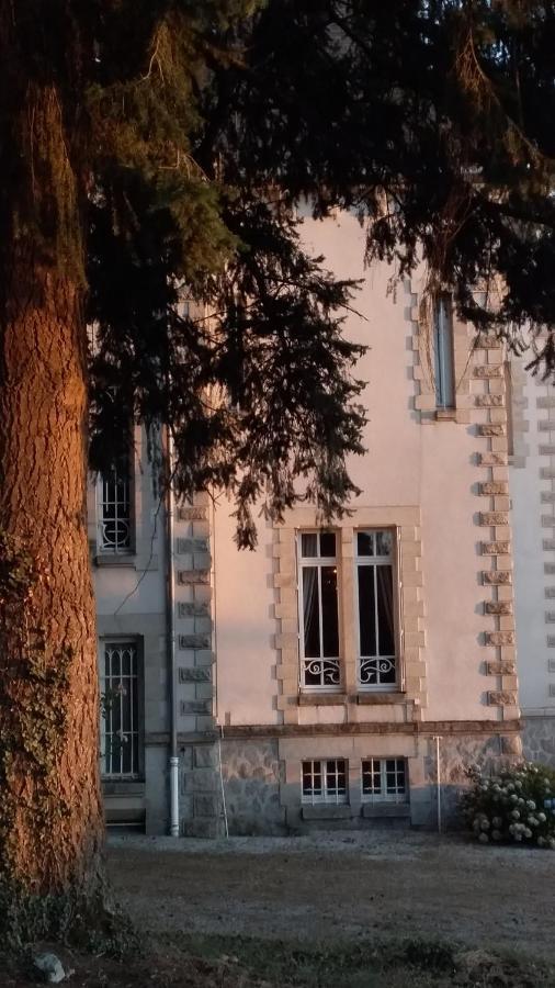 مبيت وإفطار Saint-Léonard-de-Noblat Chateau Maleplane المظهر الخارجي الصورة