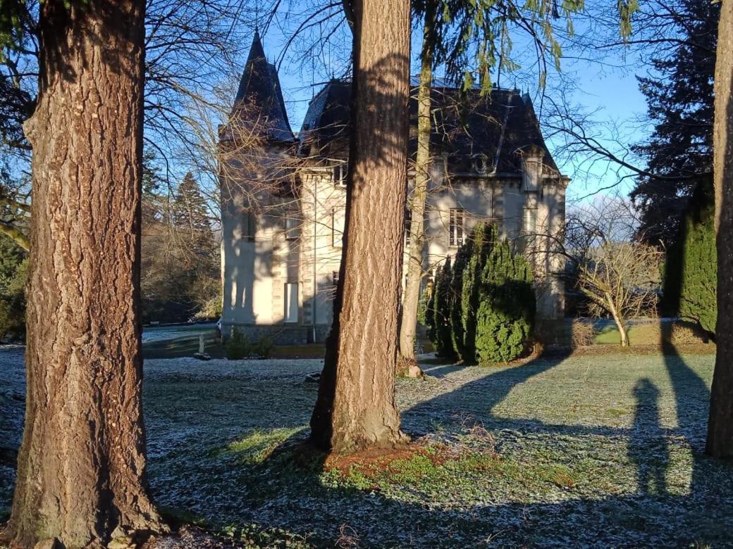 مبيت وإفطار Saint-Léonard-de-Noblat Chateau Maleplane المظهر الخارجي الصورة